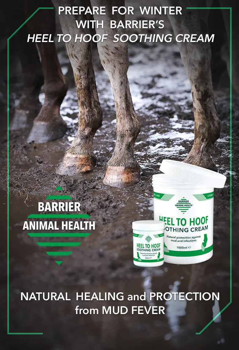 Barrier Heel to Hoof Soothing Cream