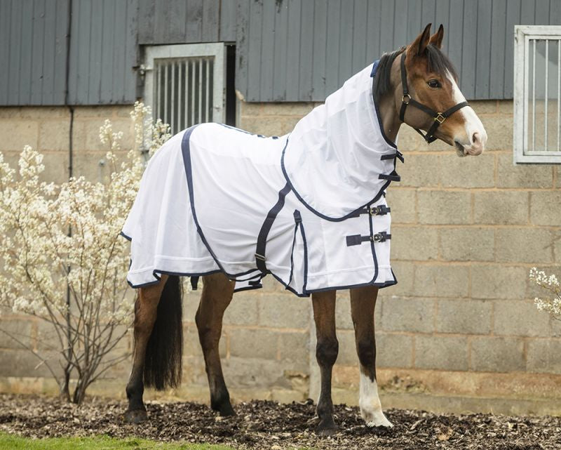 Rhinegold Fly Rug including detachable neck cover
