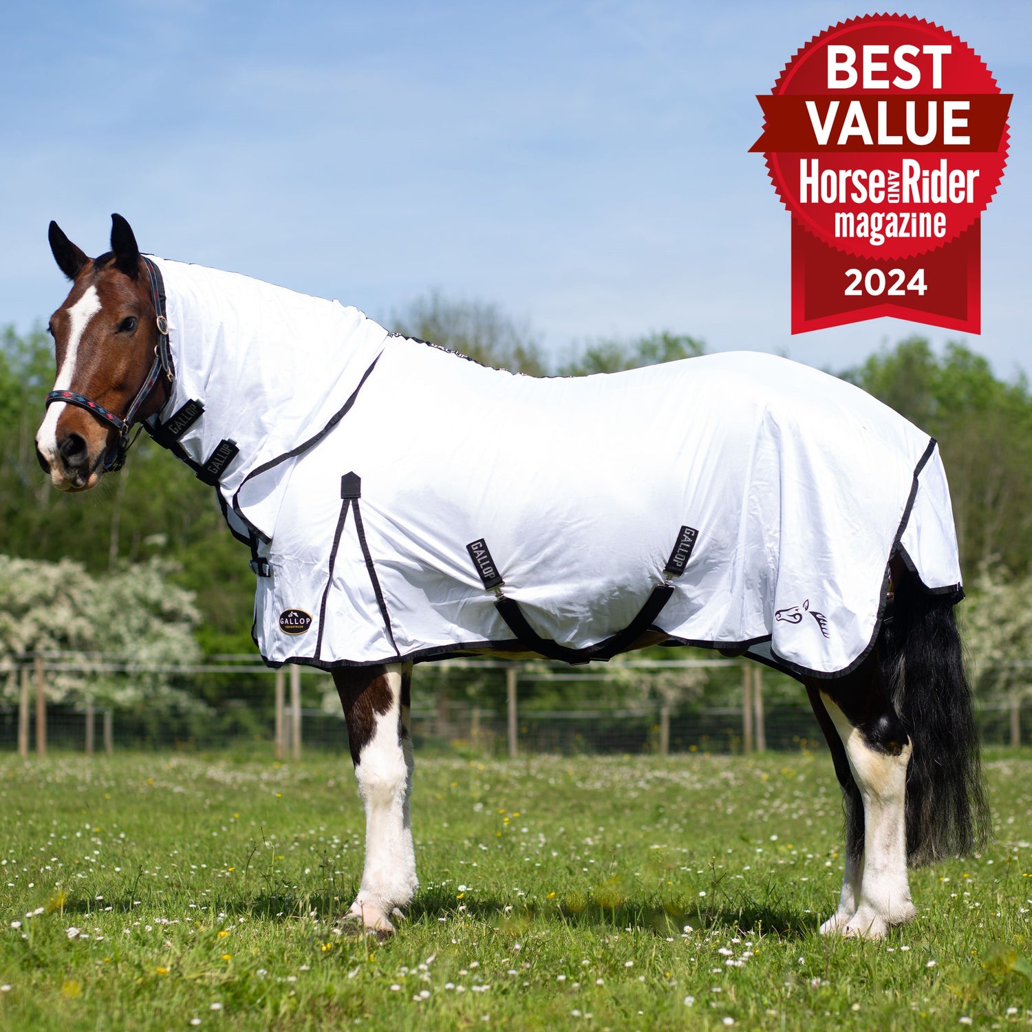 Gallop Classic Fly Combo