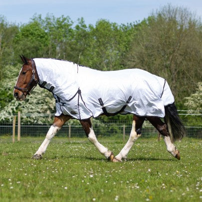 Gallop Classic Fly Combo