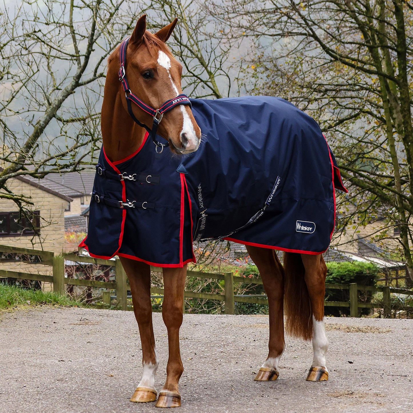 Whitaker Rastrick V2 100G Turnout