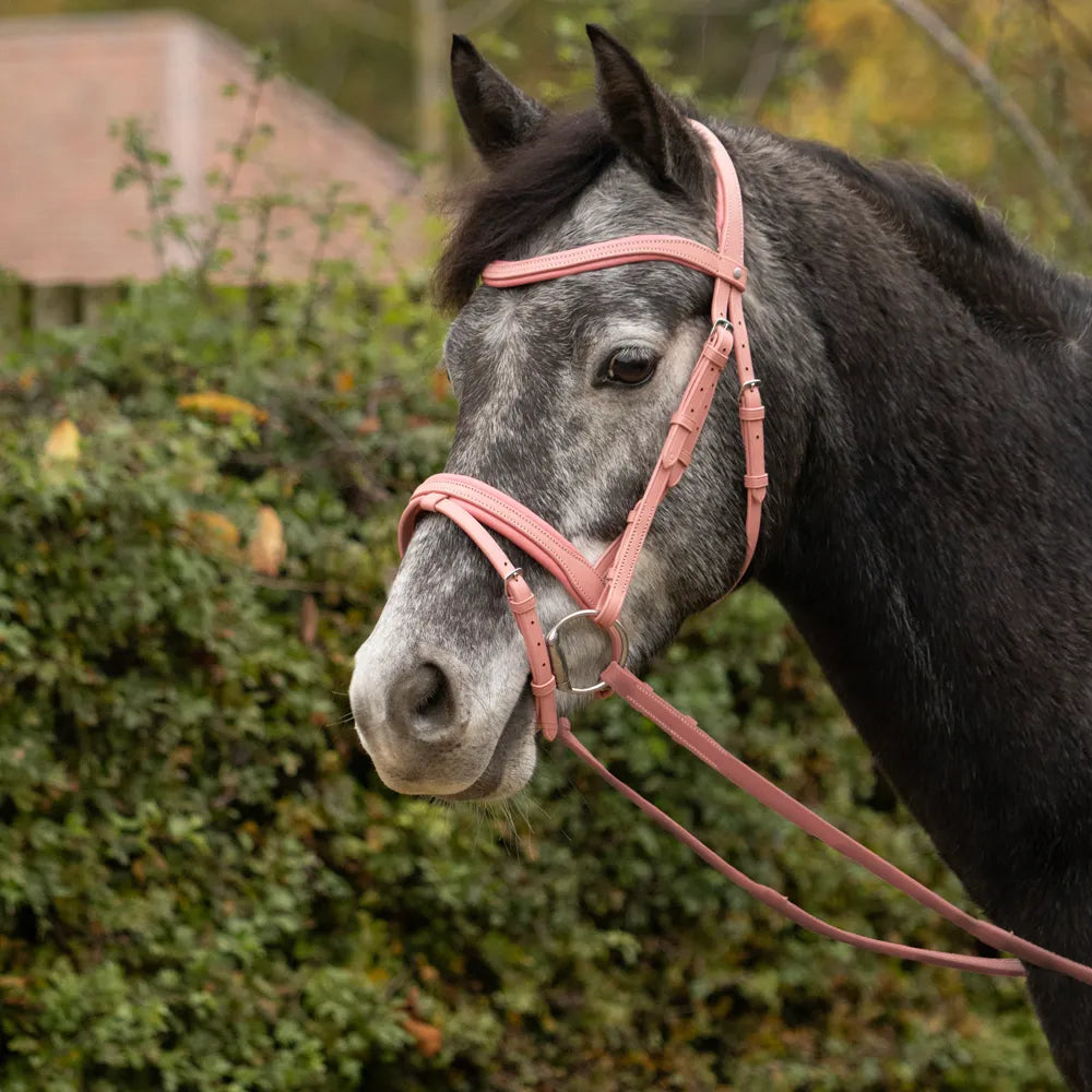 Serena Bridle by Little Rider