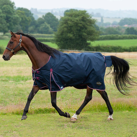 Gallop Trojan Duraproof 5-Point 50g Turnout