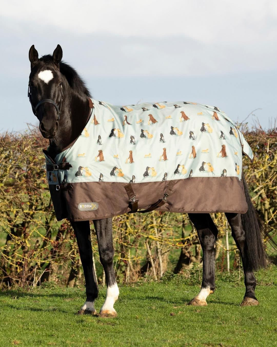 StormX Original It's A Dogs Life 0GTurnout Rug