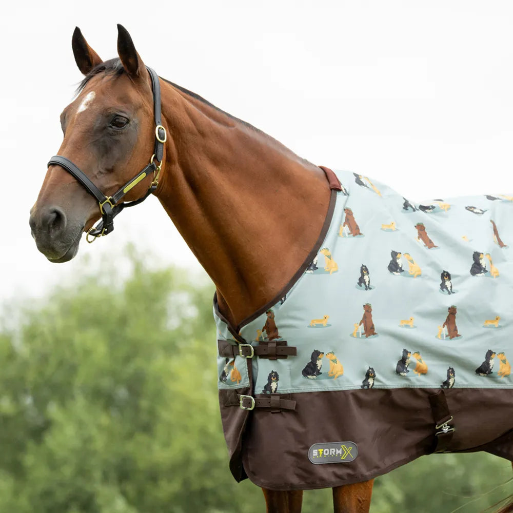 StormX Original It's A Dogs Life 0GTurnout Rug