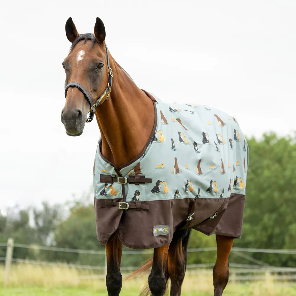 StormX Original It's A Dogs Life 0GTurnout Rug