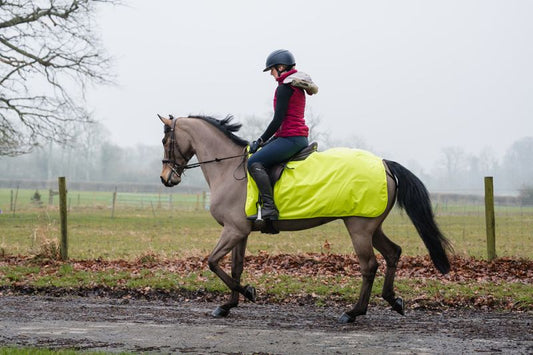 Rhinegold 3/4 Ride on Rug