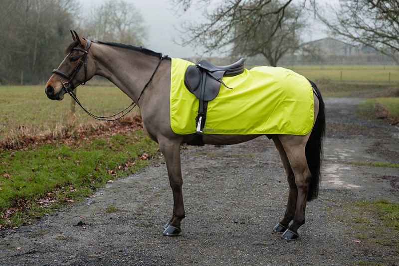 Rhinegold 3/4 Ride on Rug