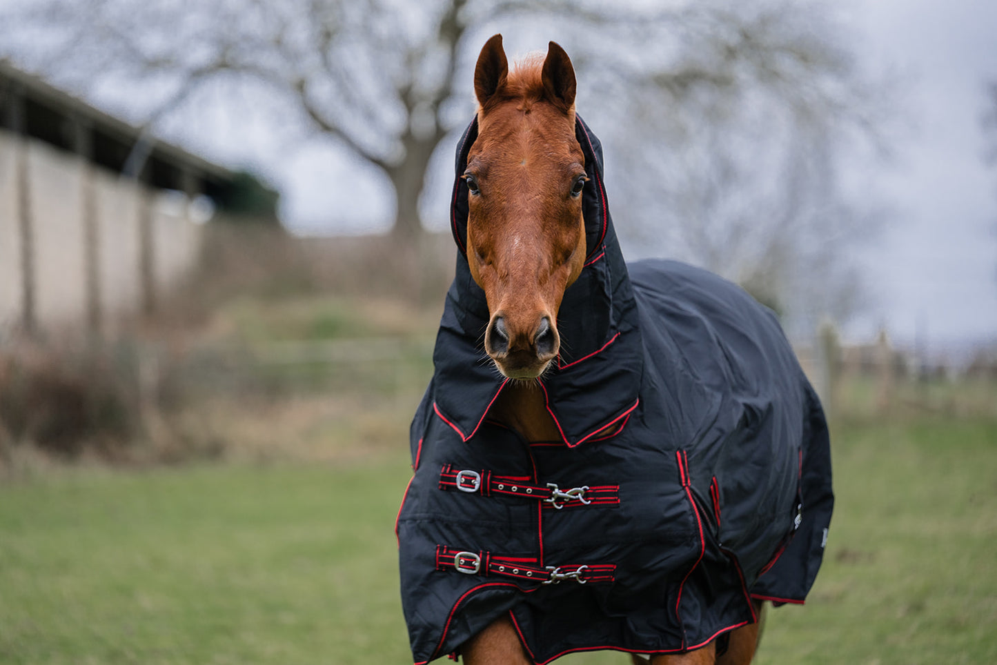 Rhinegold Aspen Heavy Weight Combo 350G Turnout