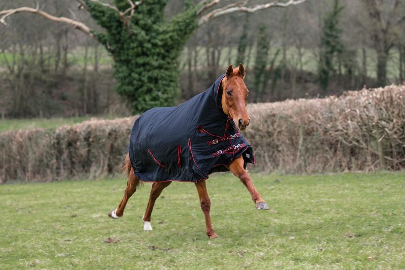 Rhinegold Aspen Heavy Weight Combo 350G Turnout