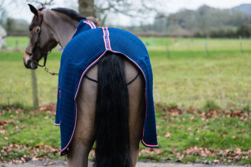 Rhinegold Premium Celltex Fleece Rug