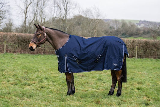 Rhinegold Arizona Standard Neck 100g Turnout