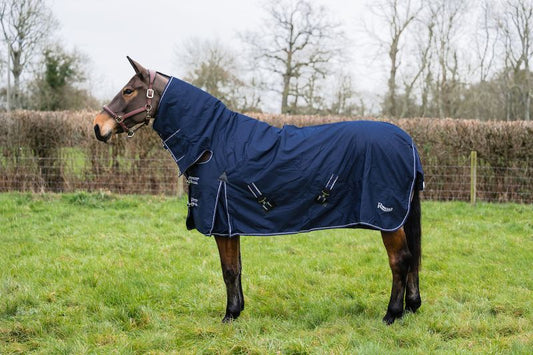 Rhinegold Arizona Full Neck 100g Turnout