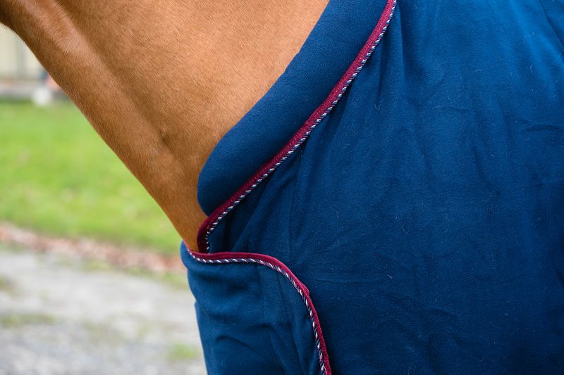 Rhinegold Comfey Collar Fleece Rug