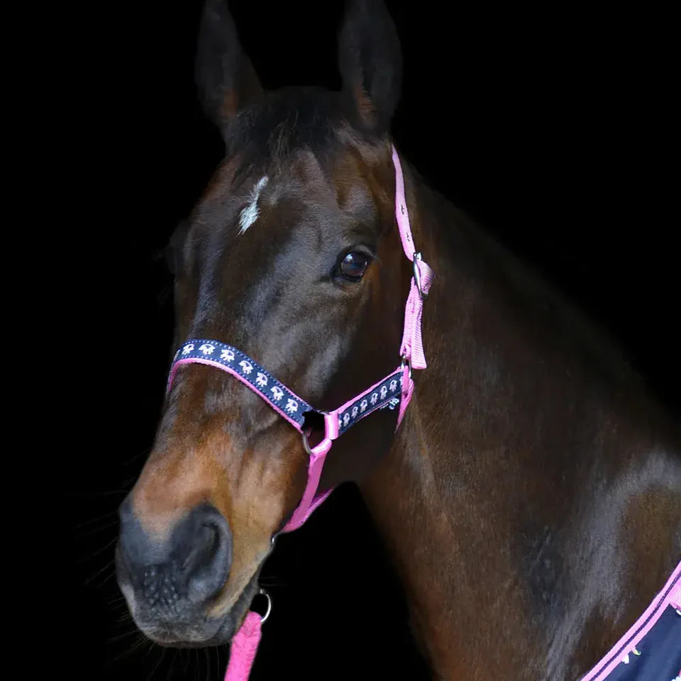 Hy Unicorn Head Collar and Lead Rope