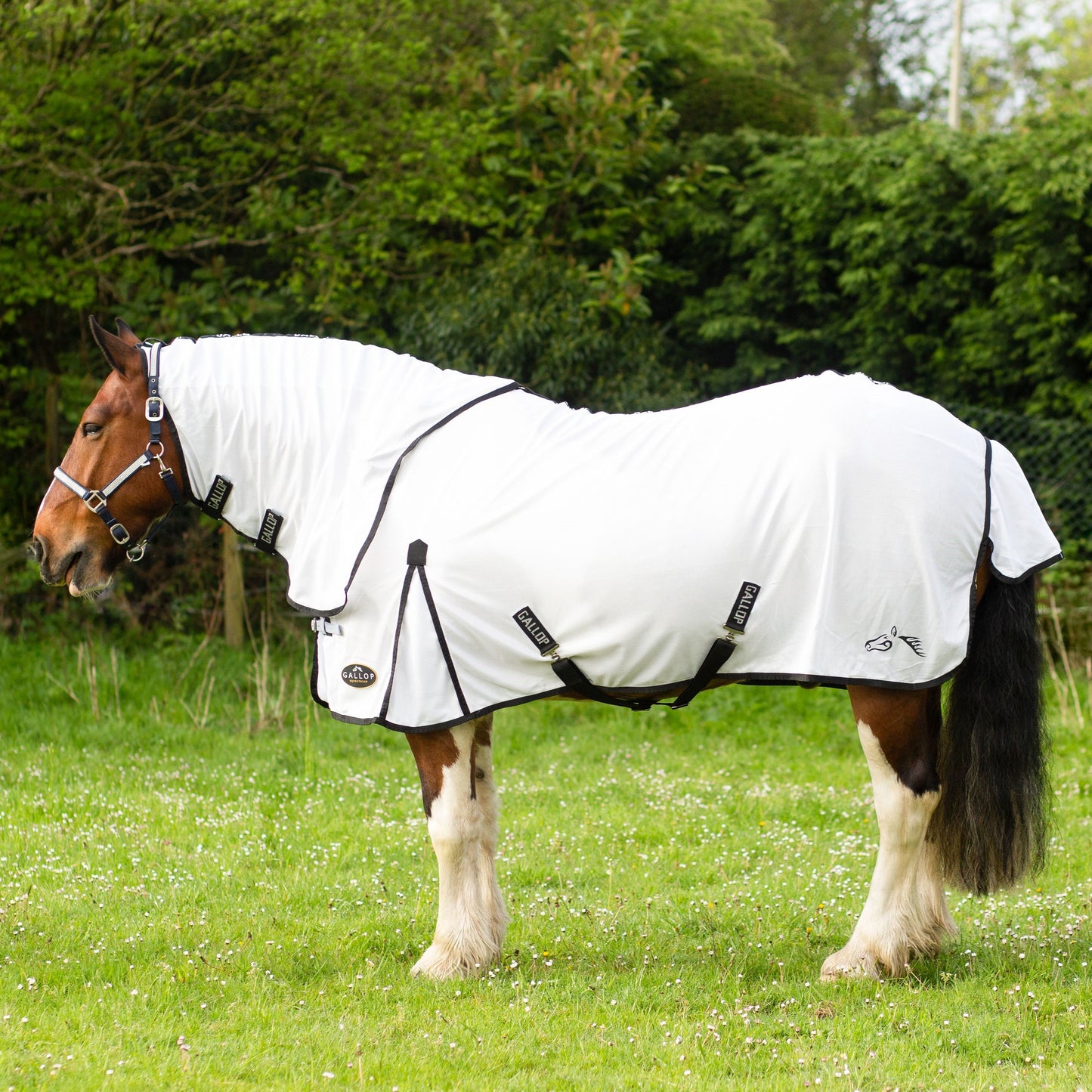 Gallop Dual Fly Rug & Neck Set