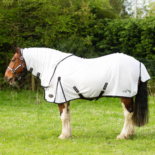 Gallop Dual Fly Rug & Neck Set