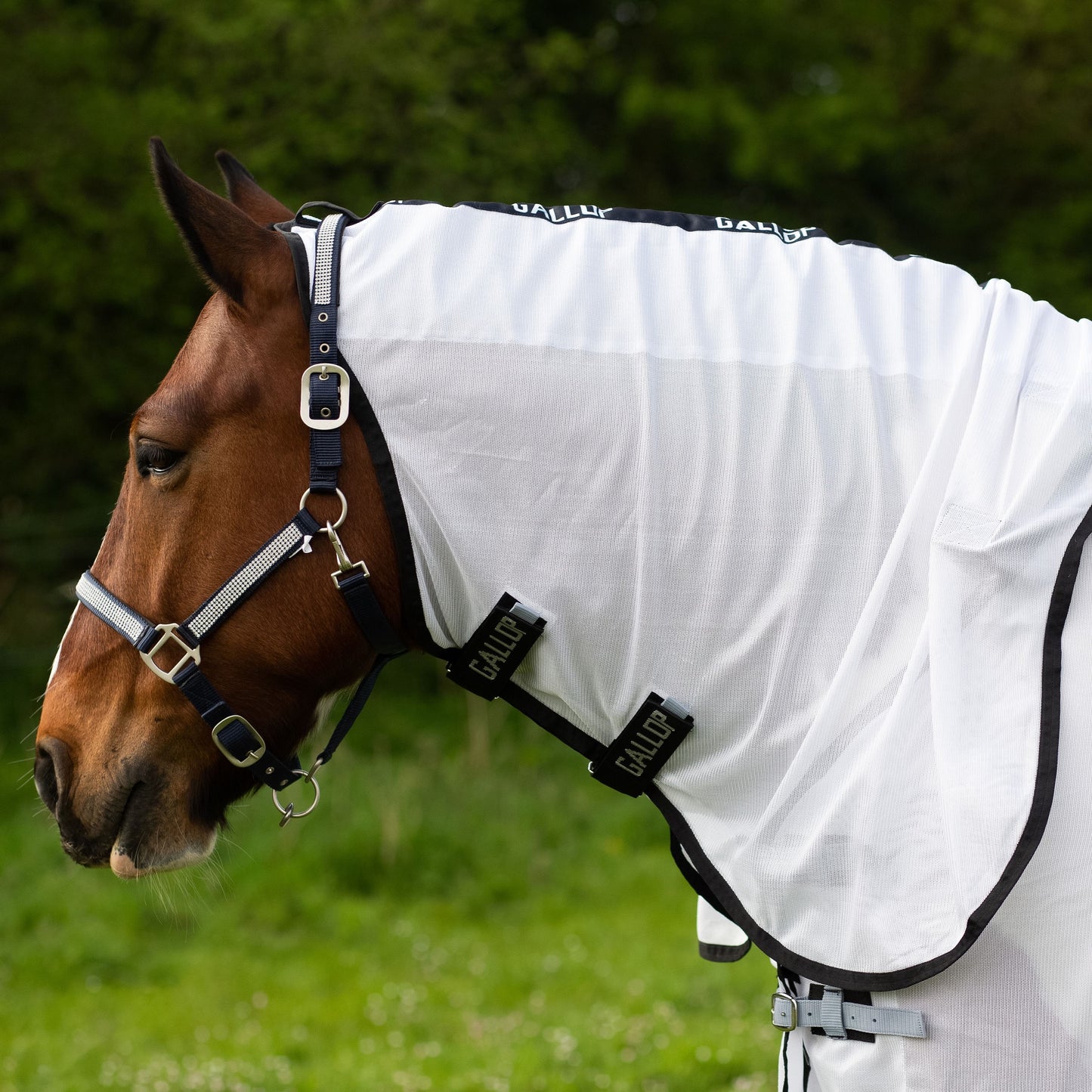 Gallop Dual Fly Rug & Neck Set