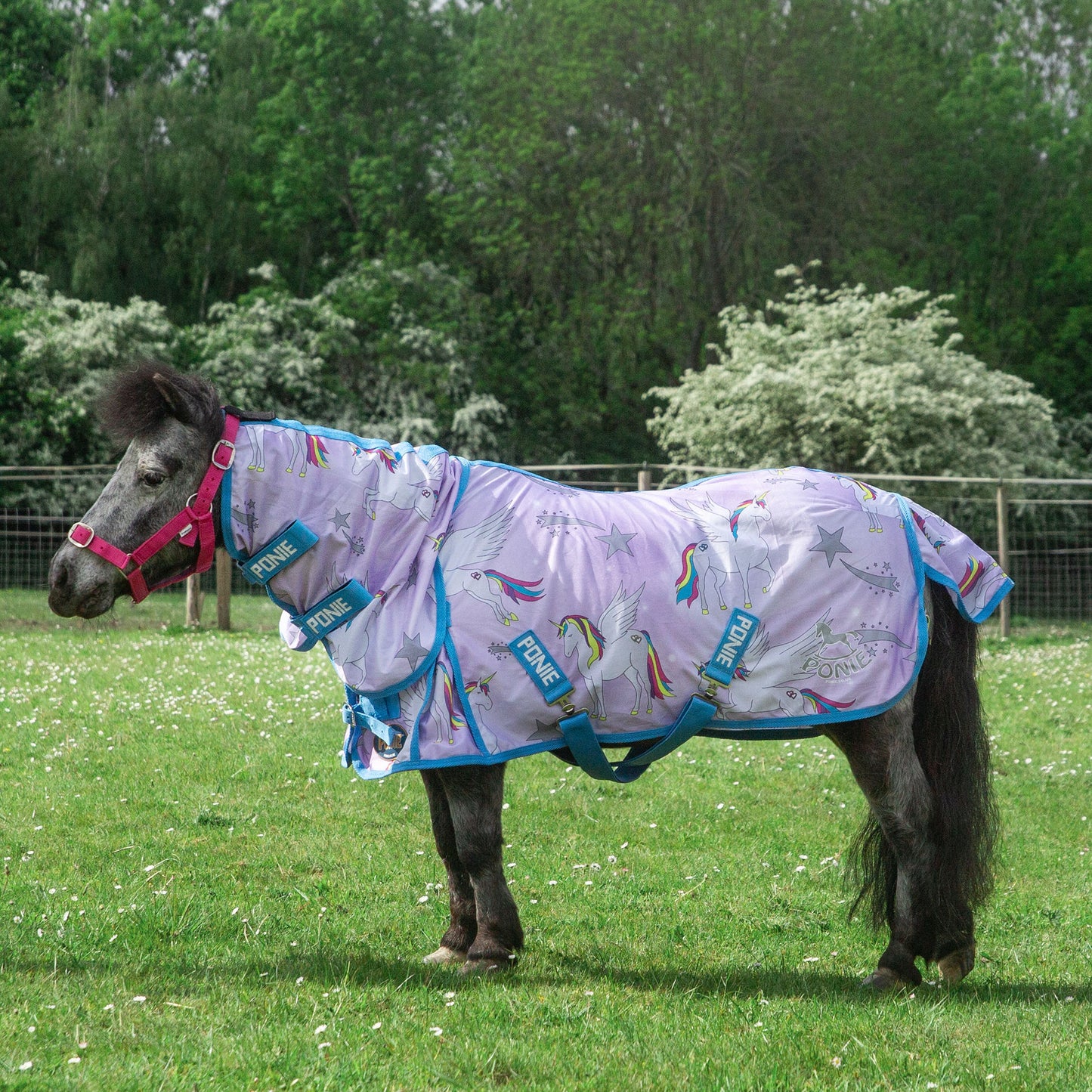 Gallop Ponie Pegacorn Fly Rug