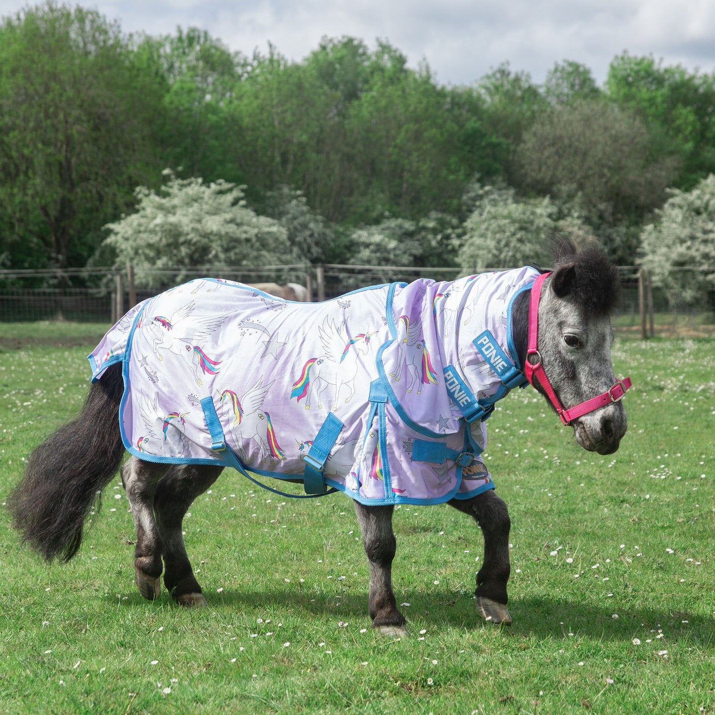 Gallop Ponie Pegacorn Fly Rug