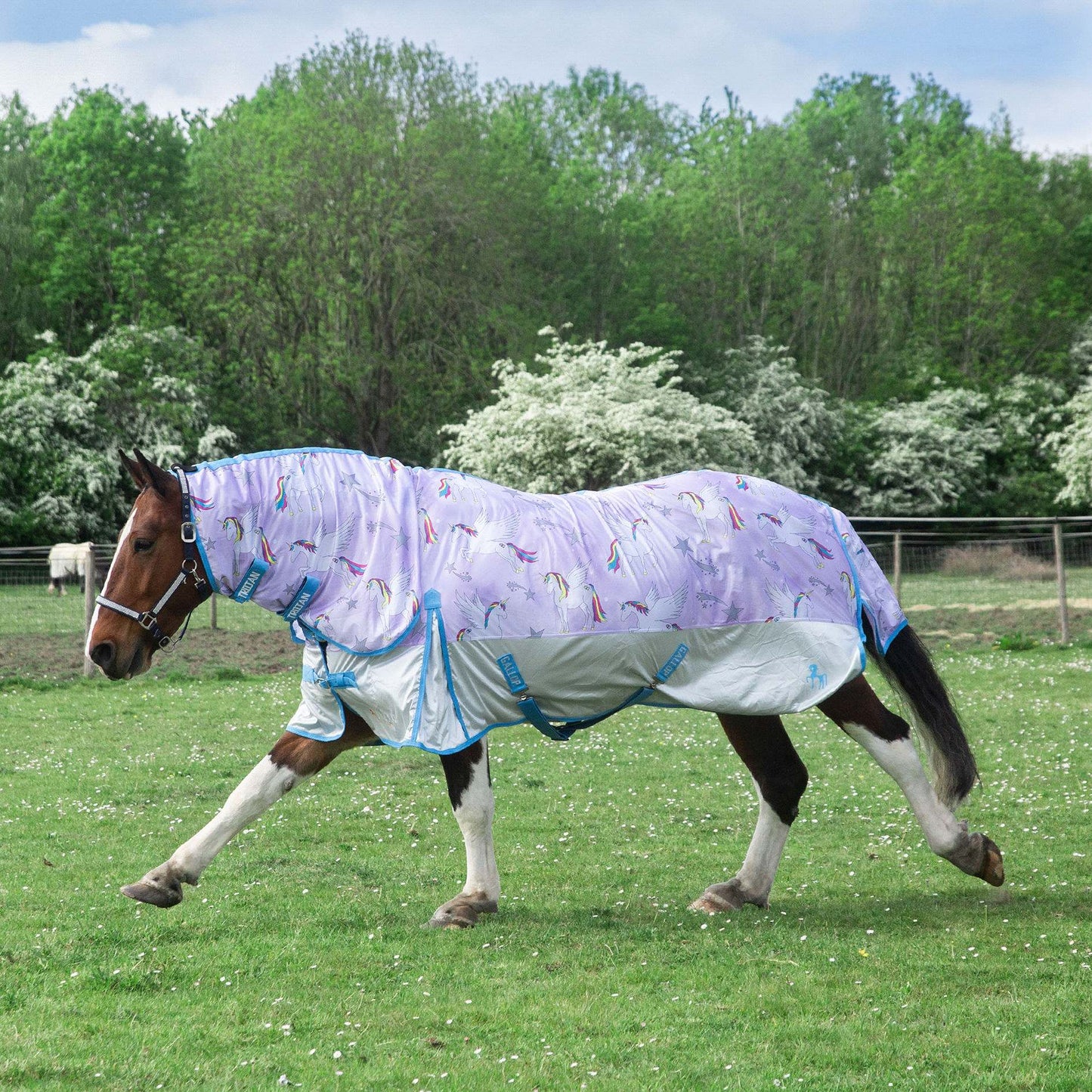Gallop Trojan Pegacorn Fly Rug