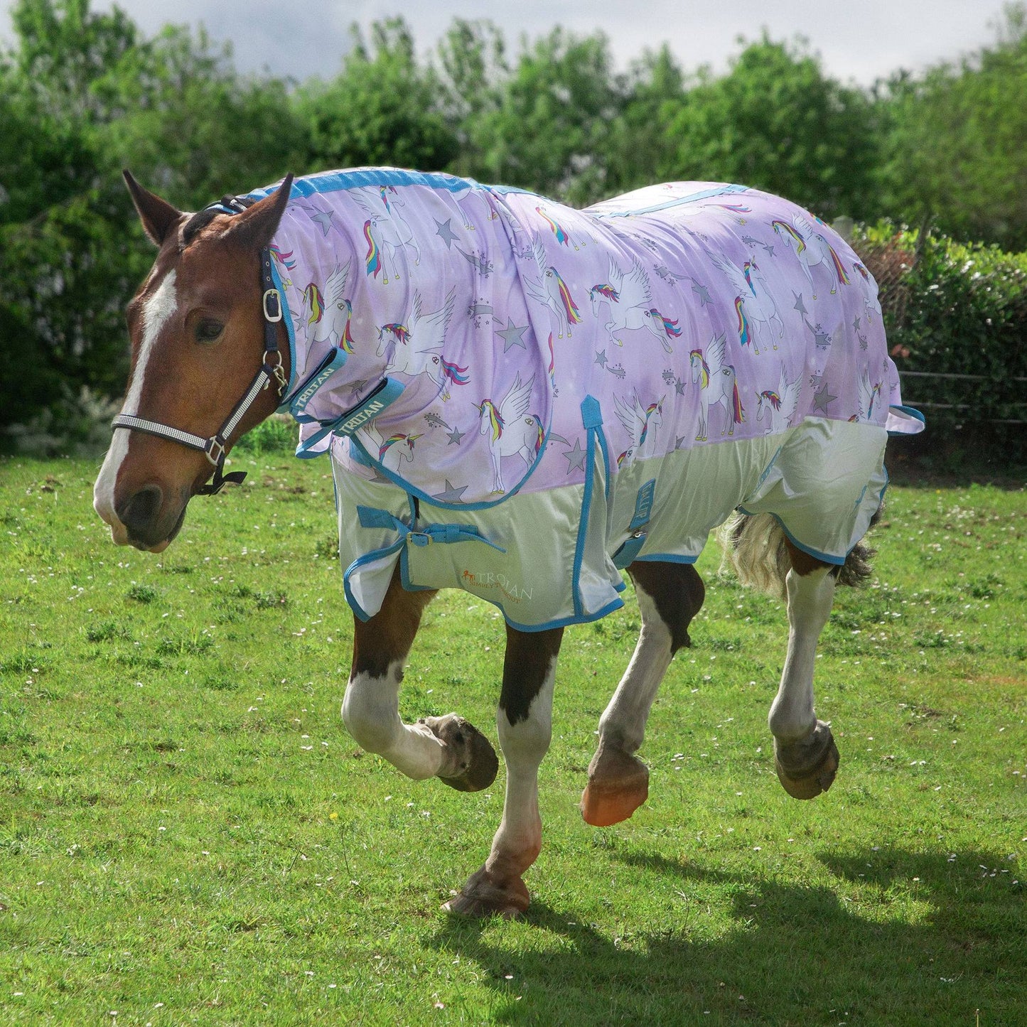 Gallop Trojan Pegacorn Fly Rug