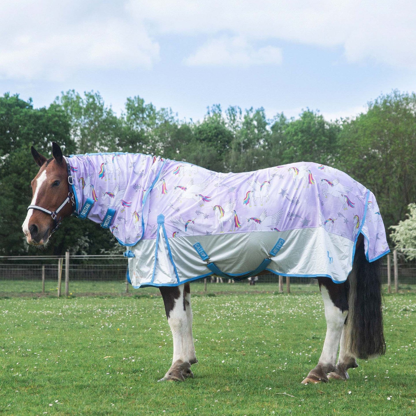 Gallop Trojan Pegacorn Fly Rug