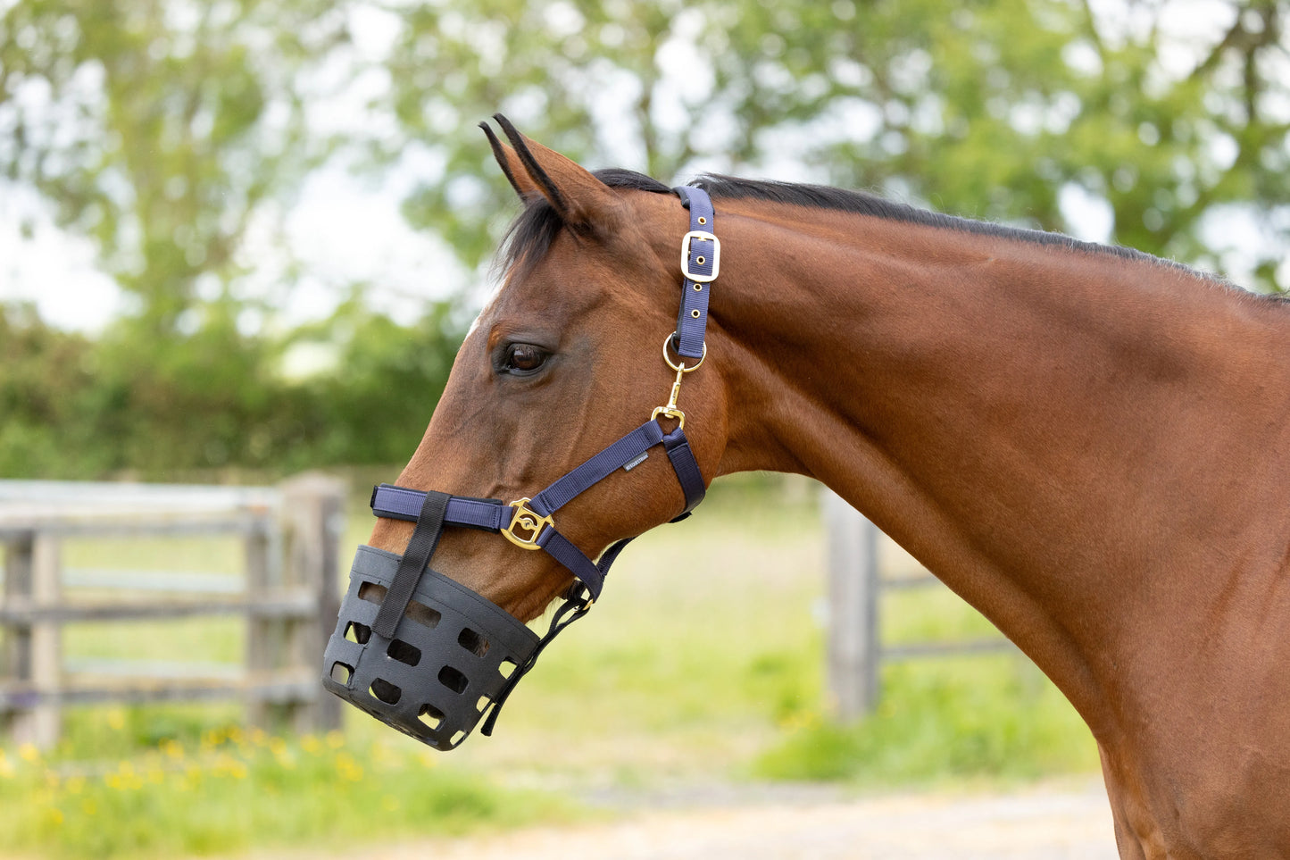 Hy Rubber Muzzle