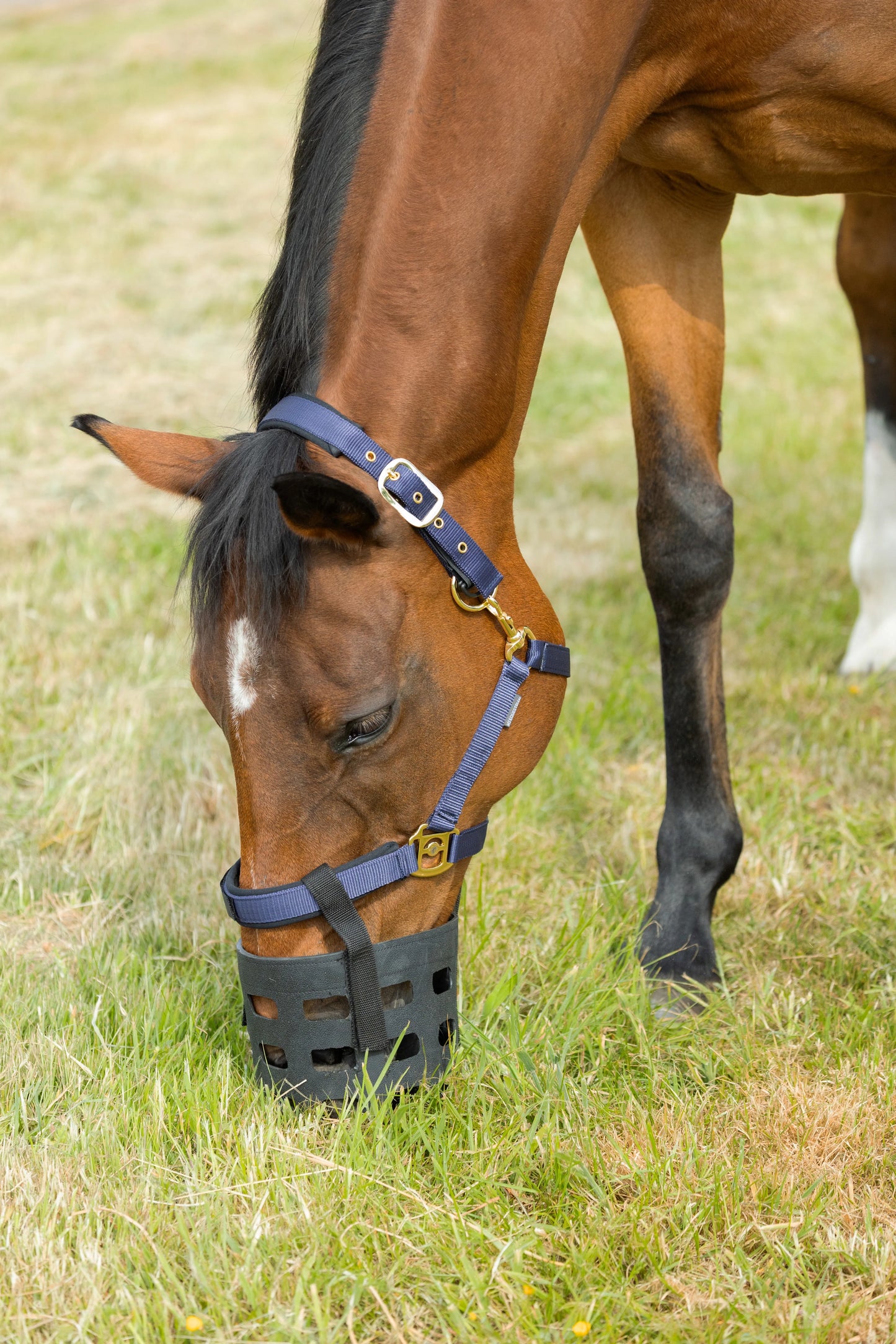 Hy Rubber Muzzle