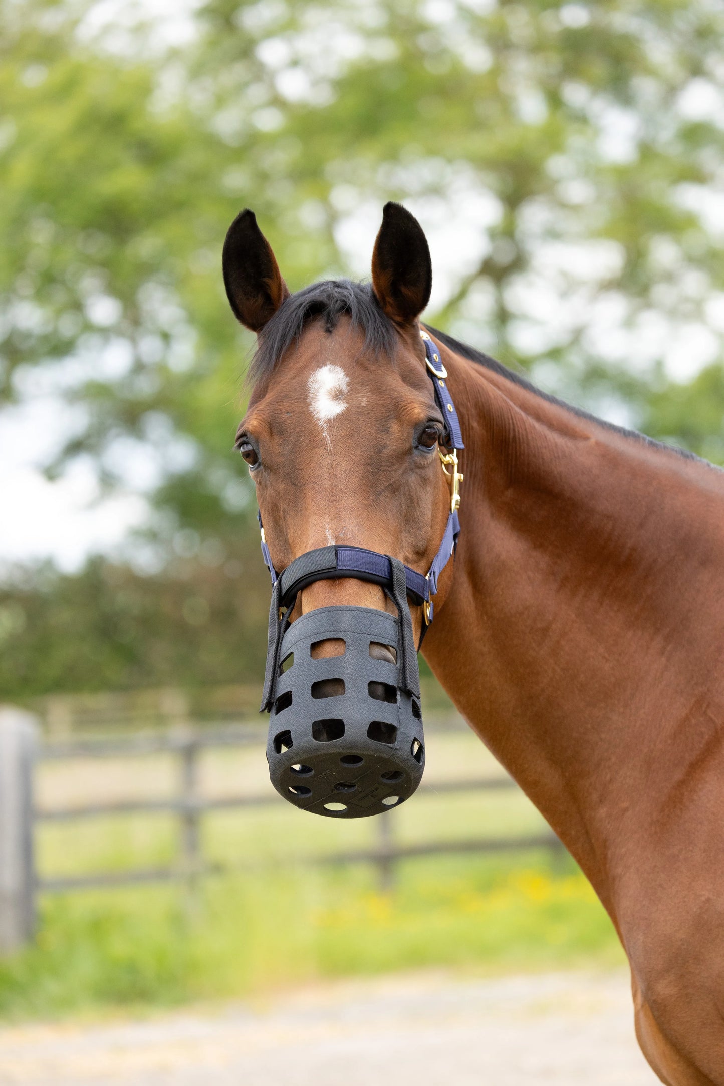 Hy Rubber Muzzle