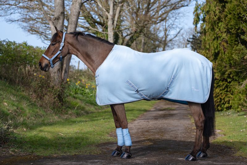 Rhinegold Sorbet Fleece Rugs