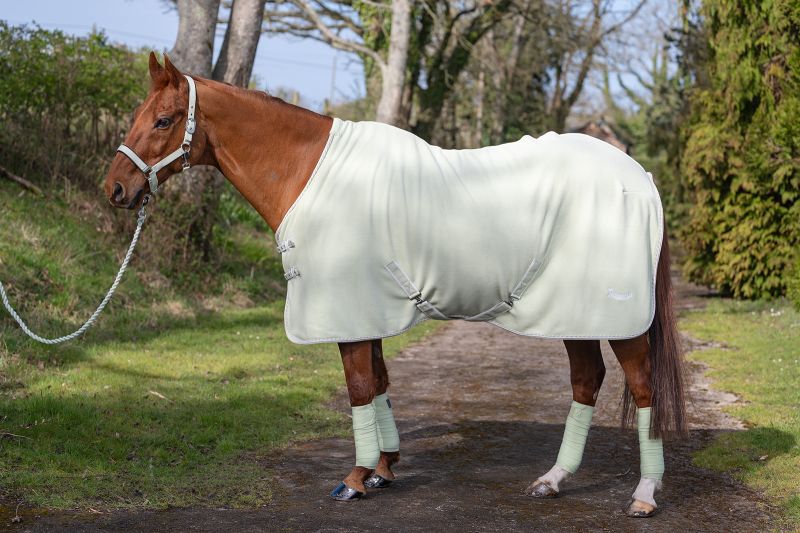 Rhinegold Sorbet Fleece Rugs