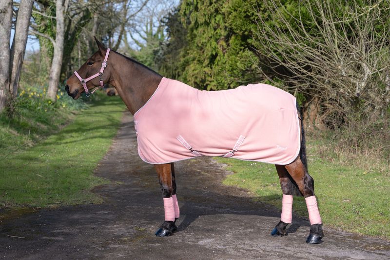 Rhinegold Sorbet Fleece Rugs