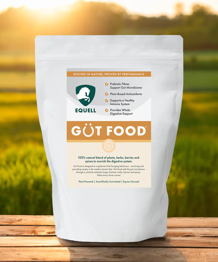 Equell Gut Food