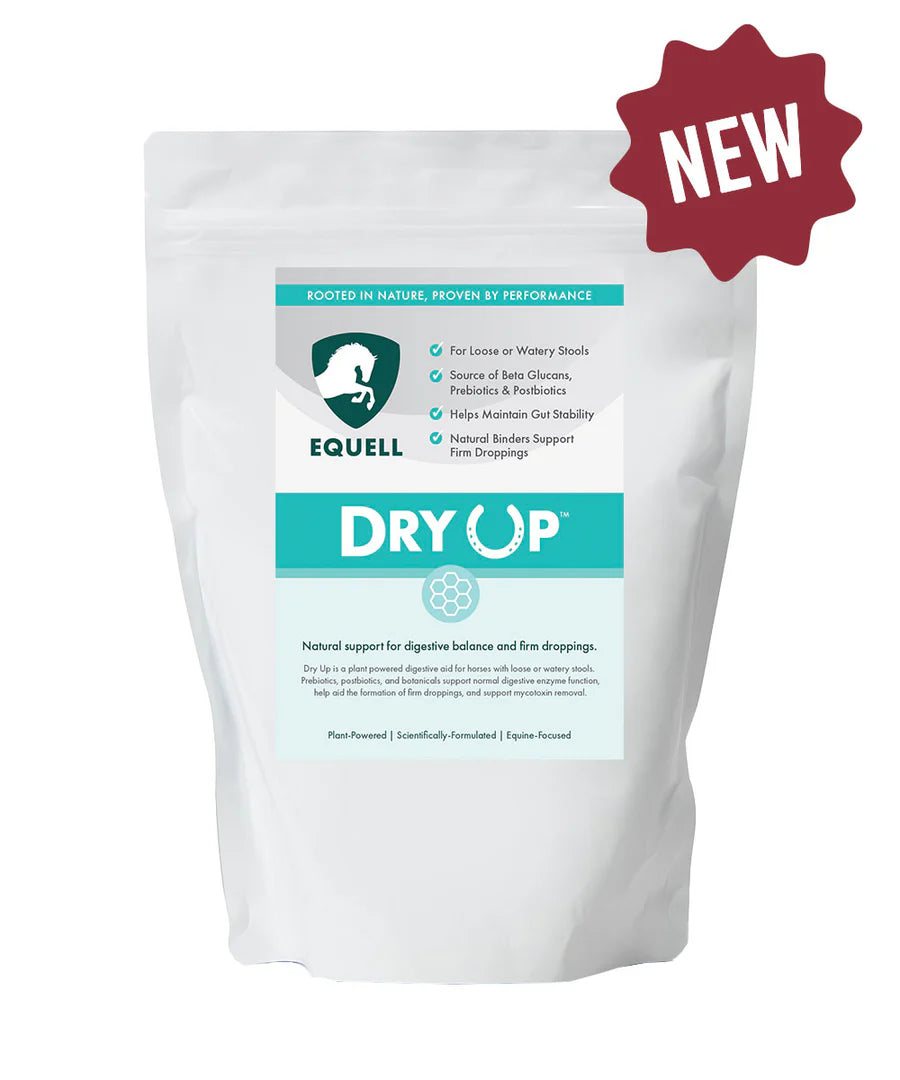 Equell Dry Up