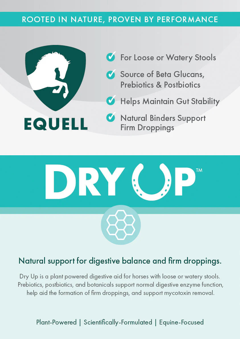 Equell Dry Up