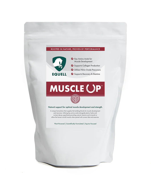Equell Muscle Up