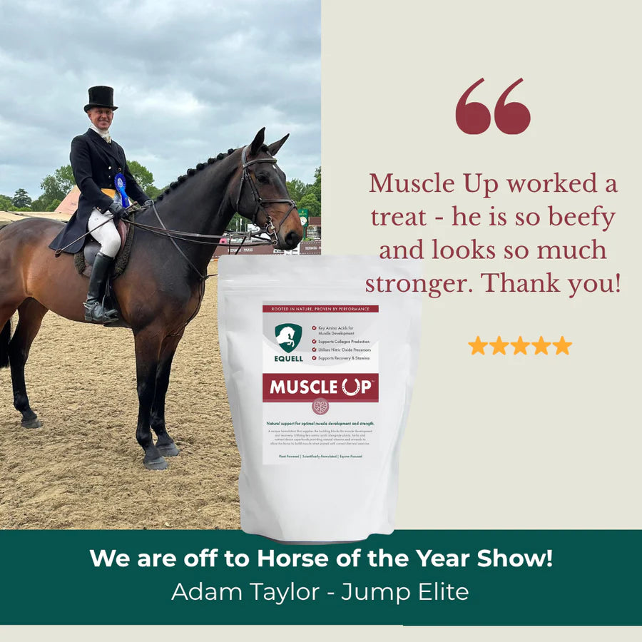 Equell Muscle Up