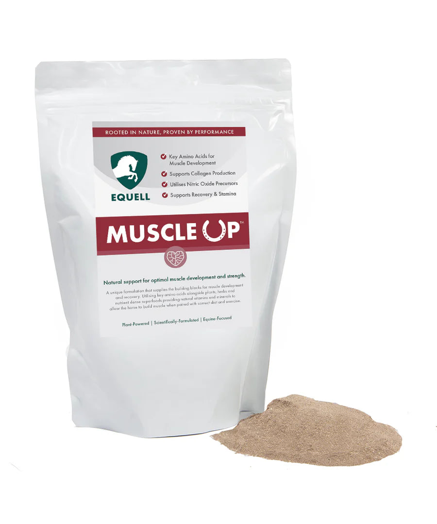 Equell Muscle Up