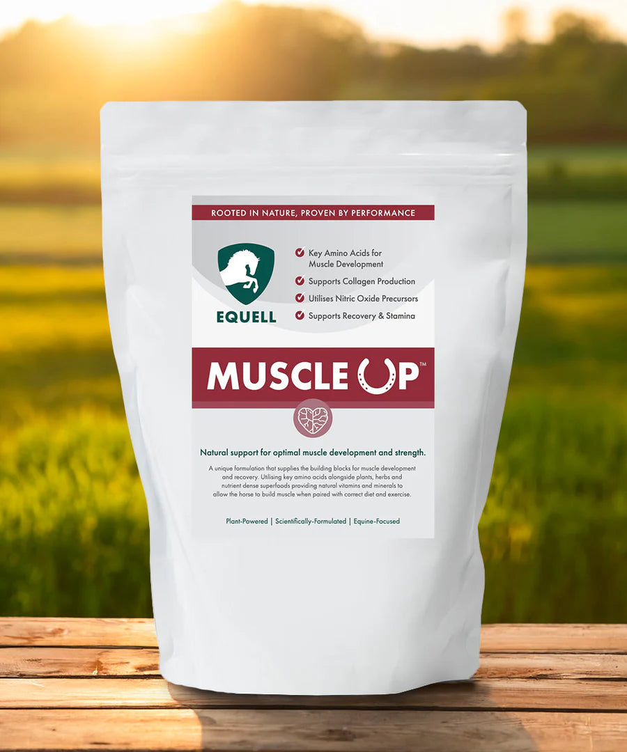 Equell Muscle Up