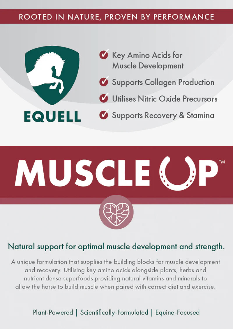 Equell Muscle Up