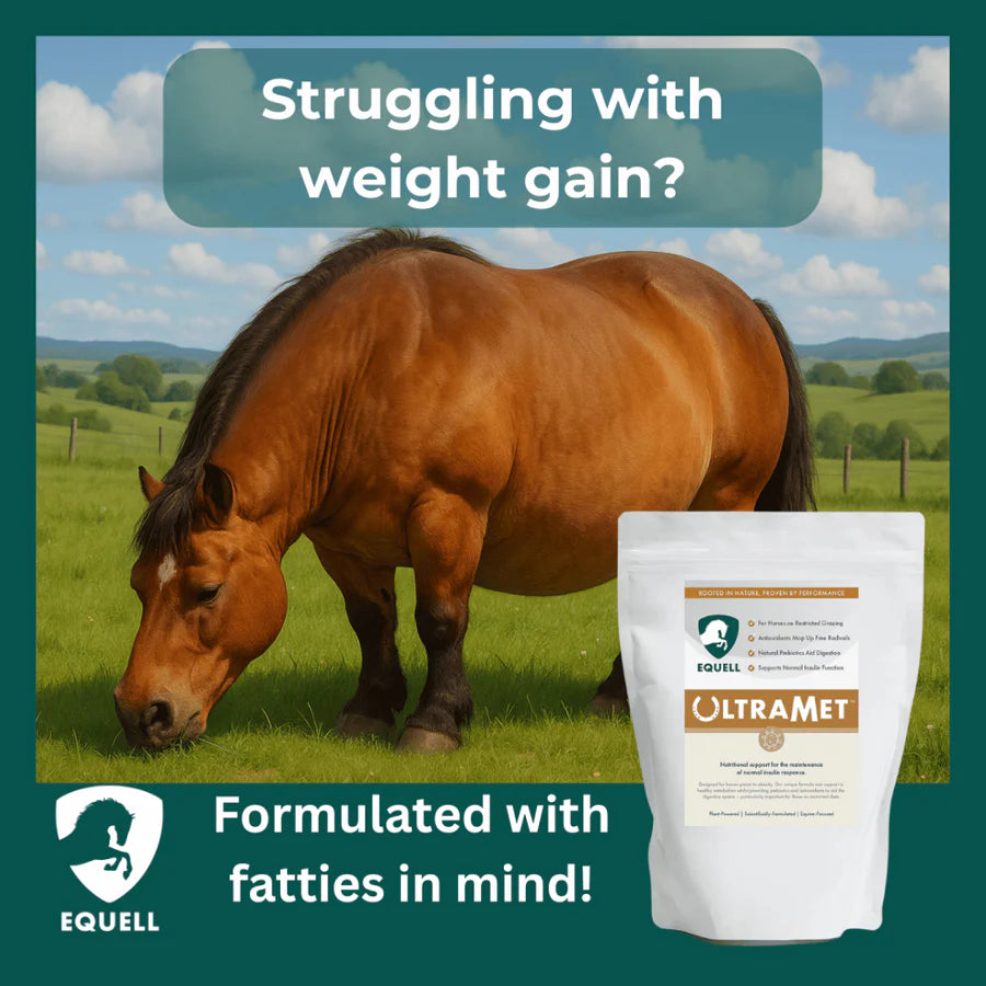 Equell UltraMet
