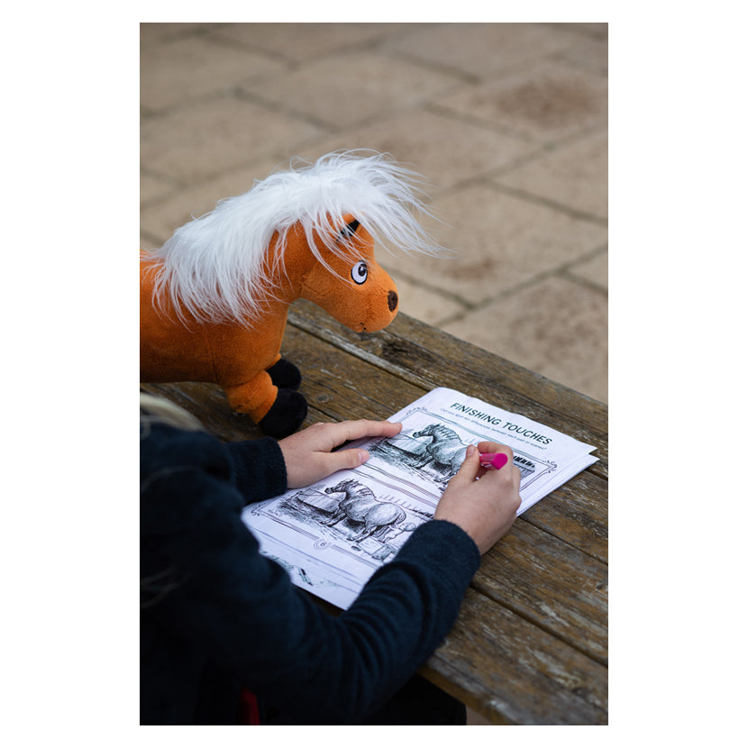 Hy Equestrian Thelwell Collection Activity Book - Top Of The Clops