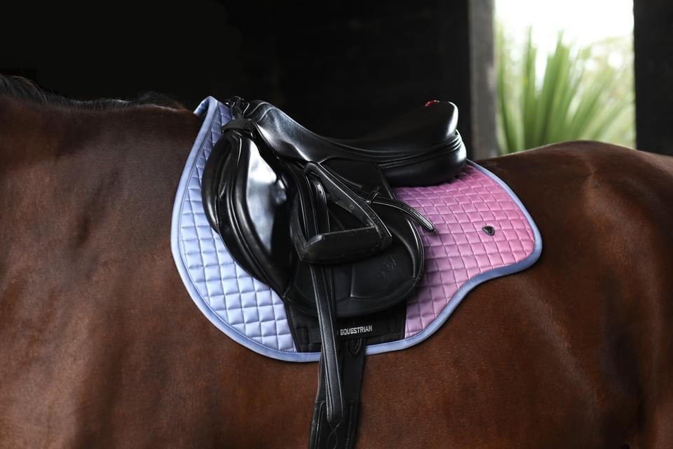 Hy Equestrian Synergy Elevate Saddle Pad - Top Of The Clops
