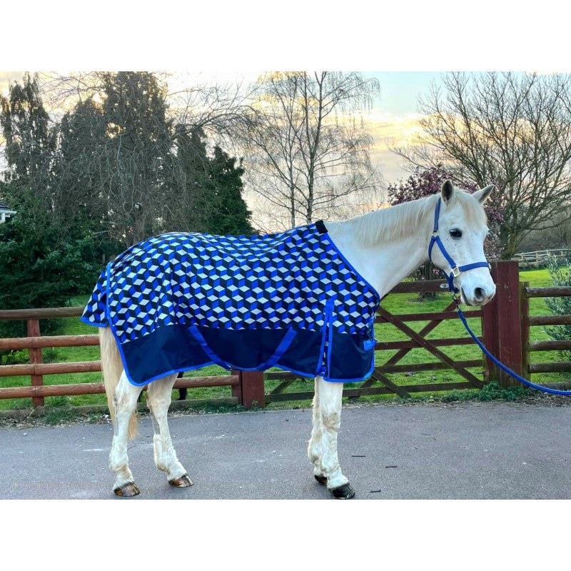 Sheldon No Fill Blue Square Turnout Rug