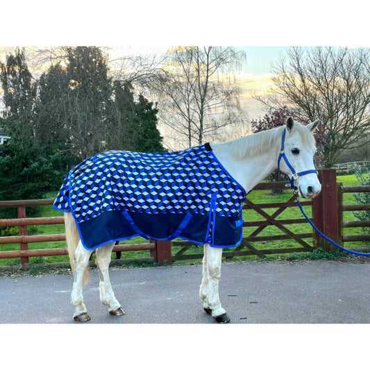 Sheldon No Fill Blue Square Turnout Rug