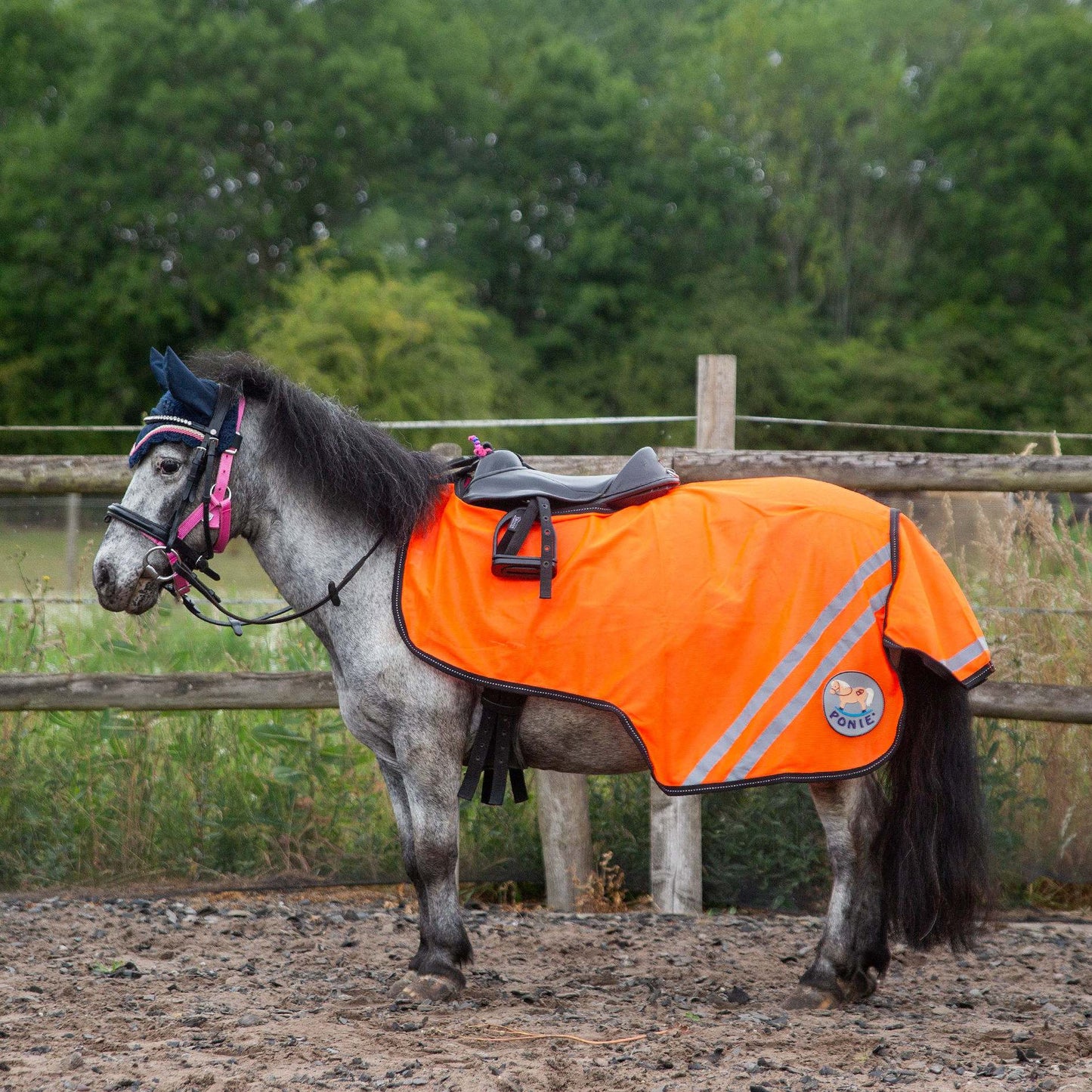 Gallop Ponie Retro Reflective Mesh Exercise Sheet