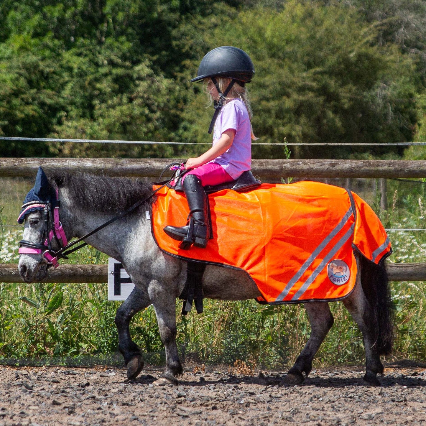 Gallop Ponie Retro Reflective Mesh Exercise Sheet