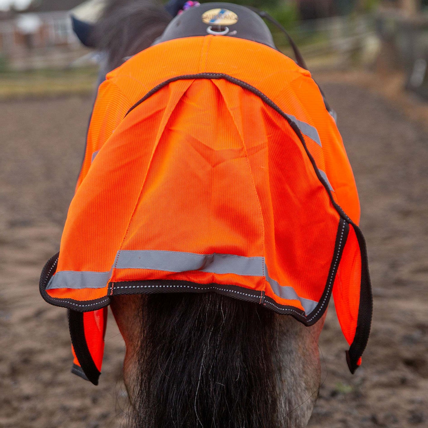 Gallop Ponie Retro Reflective Mesh Exercise Sheet