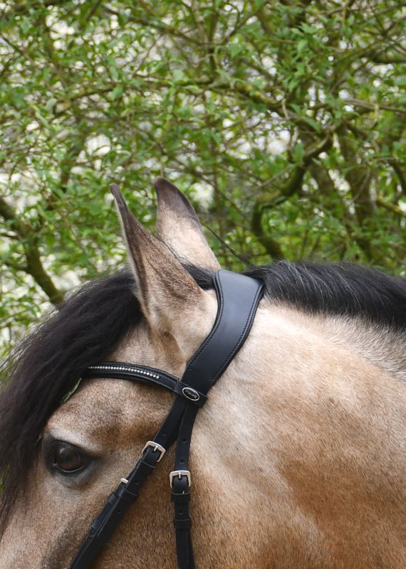 Heritage Anatomical Cavesson Bridle - Top Of The Clops